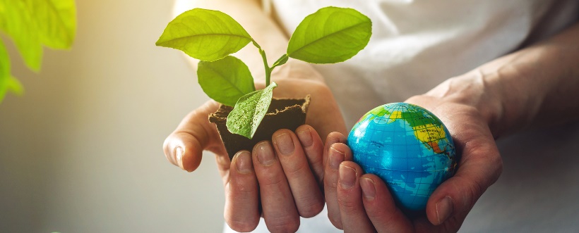 Apoyo al medio ambiente Apoyo al medio ambiente